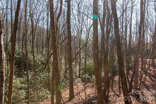 Lot 26 Big Branch Road, Brevard, NC 28712