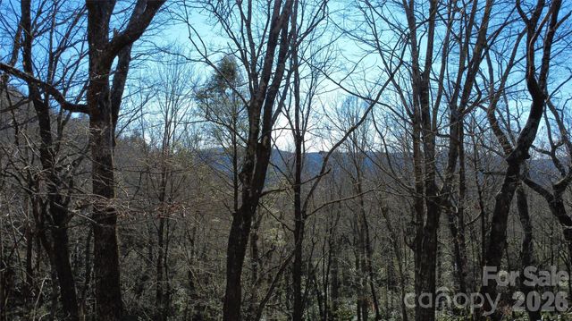 Lot 26 Big Branch Road, Brevard, NC 28712