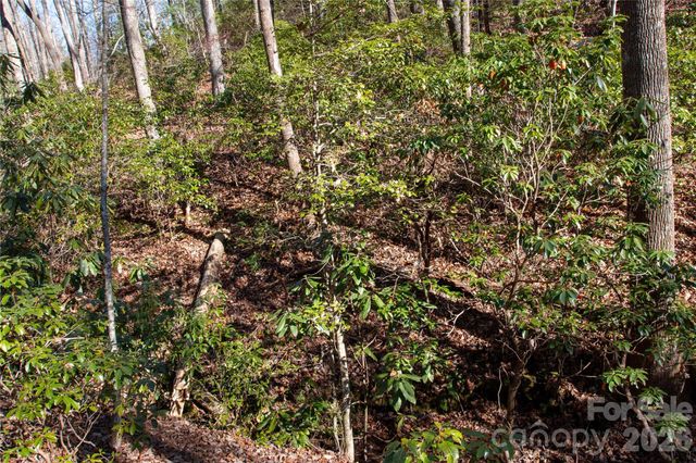Lot 26 Big Branch Road, Brevard, NC 28712