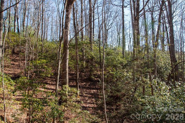 Lot 26 Big Branch Road, Brevard, NC 28712