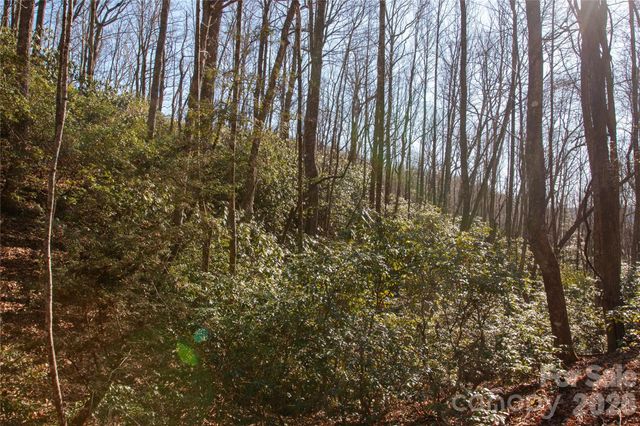 Lot 26 Big Branch Road, Brevard, NC 28712