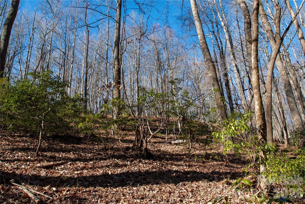 Lot 26 Big Branch Road, Brevard, NC 28712