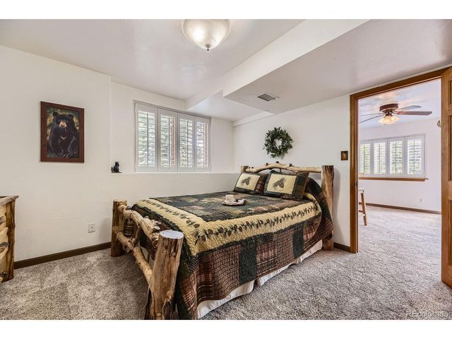 33799 Warren Rd, Pine, CO 80470