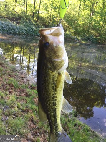 508 Millertown Road, Temple, GA 30179