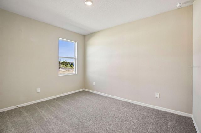 10045 HIDDEN HAMMOCK LOOP, Parrish, FL 34219