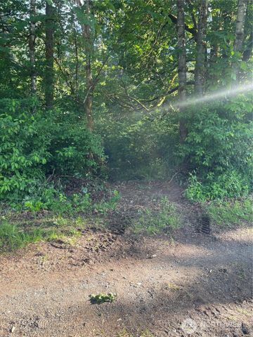 8806 356th Street S, Mckenna, WA 98558