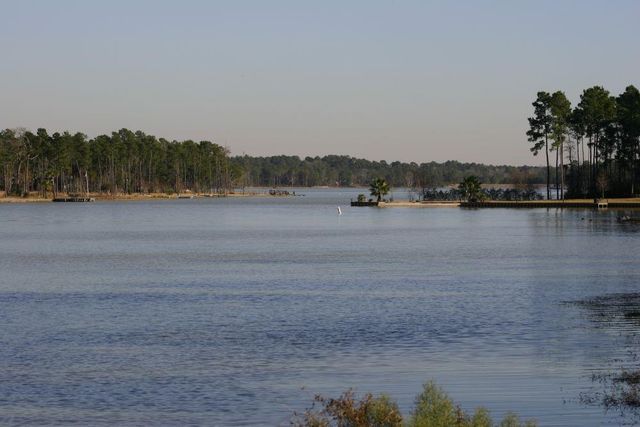 20934 Imperial Oak Drive, Magnolia, TX 77355