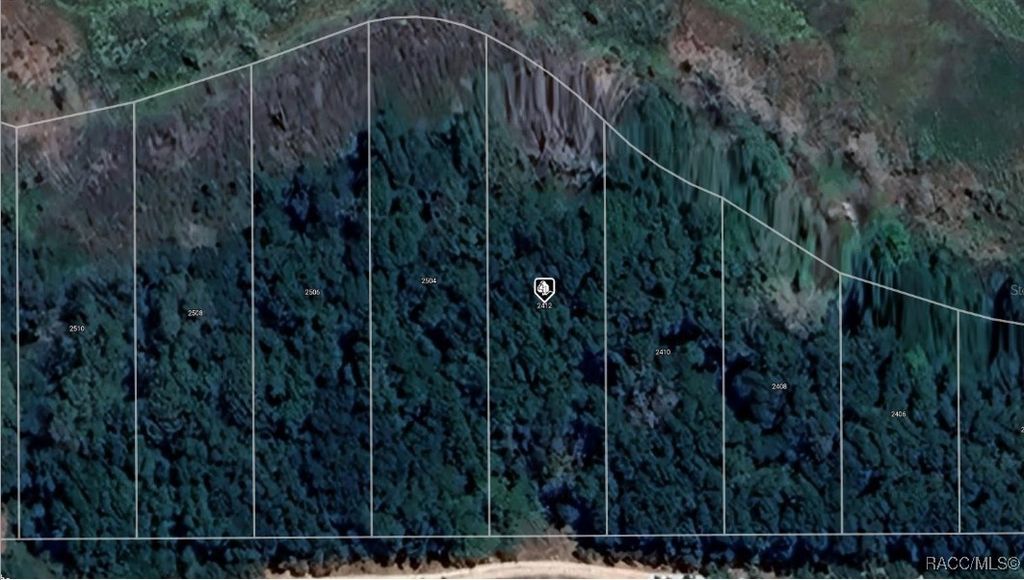 2412 Eisenhower Street, Inverness, FL 34453