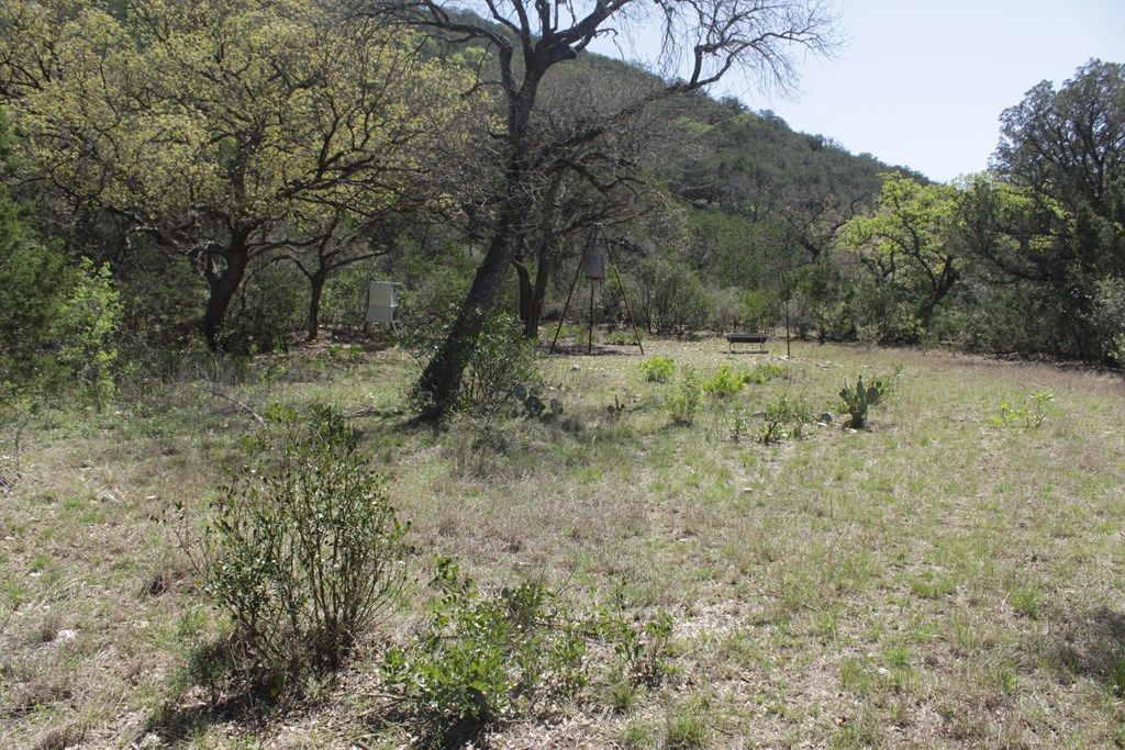 Image 21 of property listing at 1976 W Cedar Creek Dr, Leakey, TX 78873