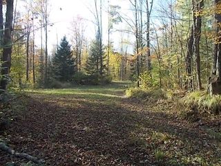 N4835 BURMA ROAD, Merrill, WI 54452