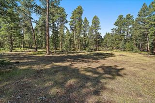 0 Evergreen Drive, Conifer, CO 80433