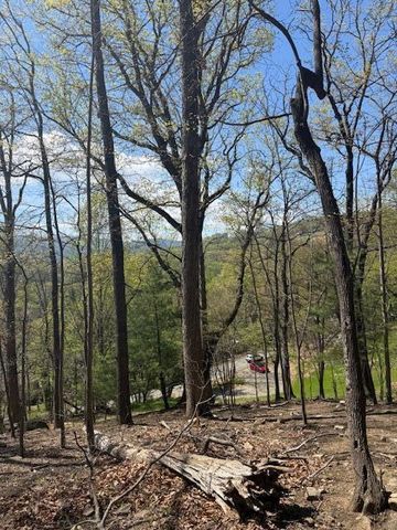 0 Sugar Loaf Mountain RD, Roanoke, VA 24018