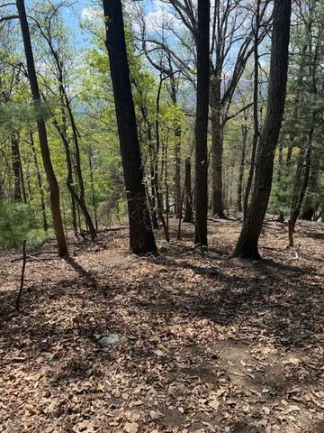 0 Sugar Loaf Mountain RD, Roanoke, VA 24018