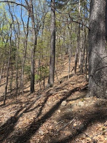 0 Sugar Loaf Mountain RD, Roanoke, VA 24018