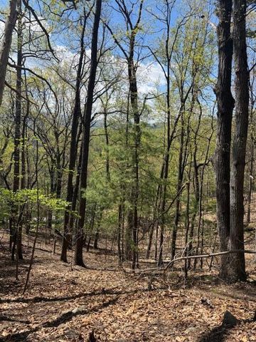 0 Sugar Loaf Mountain RD, Roanoke, VA 24018