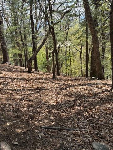 0 Sugar Loaf Mountain RD, Roanoke, VA 24018