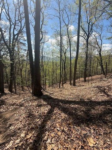 0 Sugar Loaf Mountain RD, Roanoke, VA 24018