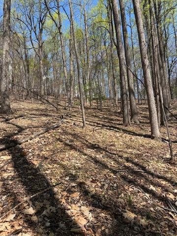 0 Sugar Loaf Mountain RD, Roanoke, VA 24018
