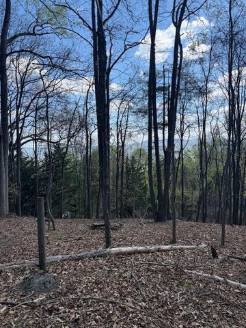 0 Sugar Loaf Mountain RD, Roanoke, VA 24018