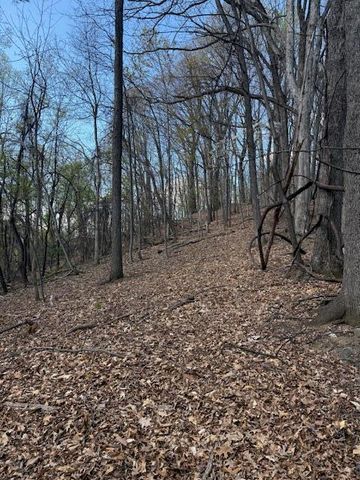 0 Sugar Loaf Mountain RD, Roanoke, VA 24018