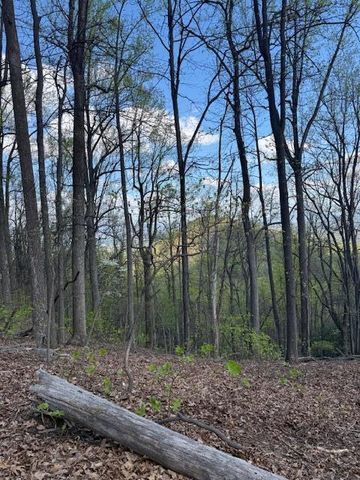 0 Sugar Loaf Mountain RD, Roanoke, VA 24018