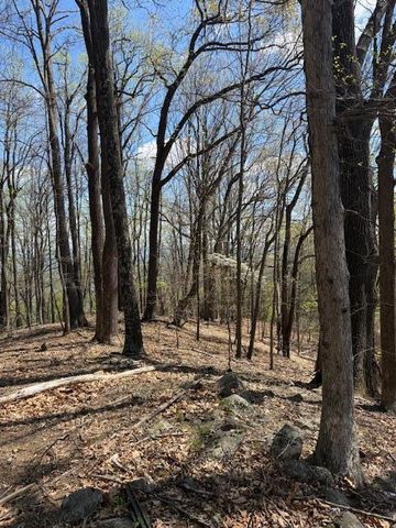 0 Sugar Loaf Mountain RD, Roanoke, VA 24018