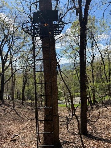 0 Sugar Loaf Mountain RD, Roanoke, VA 24018