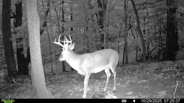 0 Sugar Loaf Mountain RD, Roanoke, VA 24018