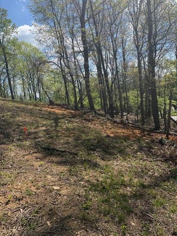 0 Sugar Loaf Mountain RD, Roanoke, VA 24018