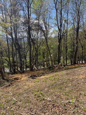 0 Sugar Loaf Mountain RD, Roanoke, VA 24018