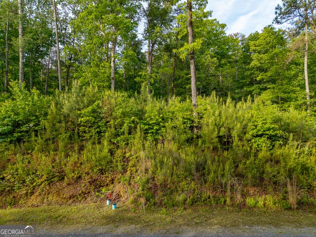 LOT 45 Hilton Drive, Ellijay, GA 30540