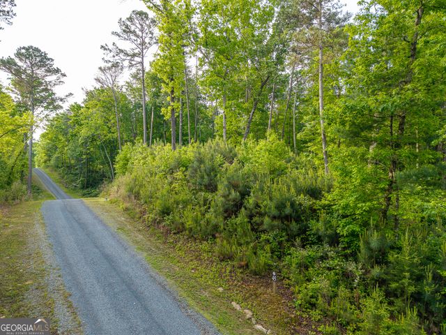 LOT 45 Hilton Drive, Ellijay, GA 30540
