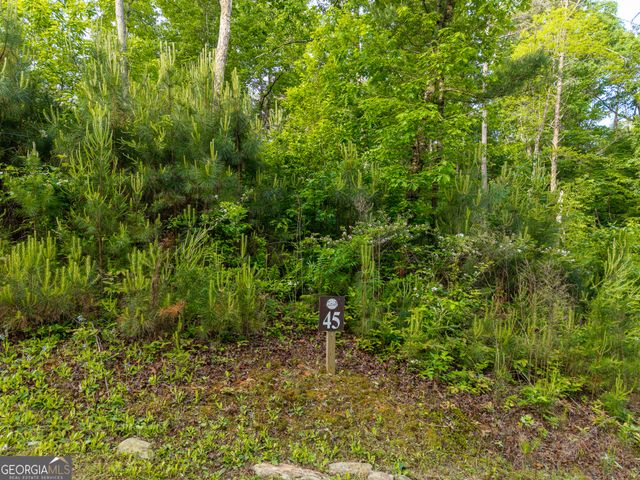 LOT 45 Hilton Drive, Ellijay, GA 30540