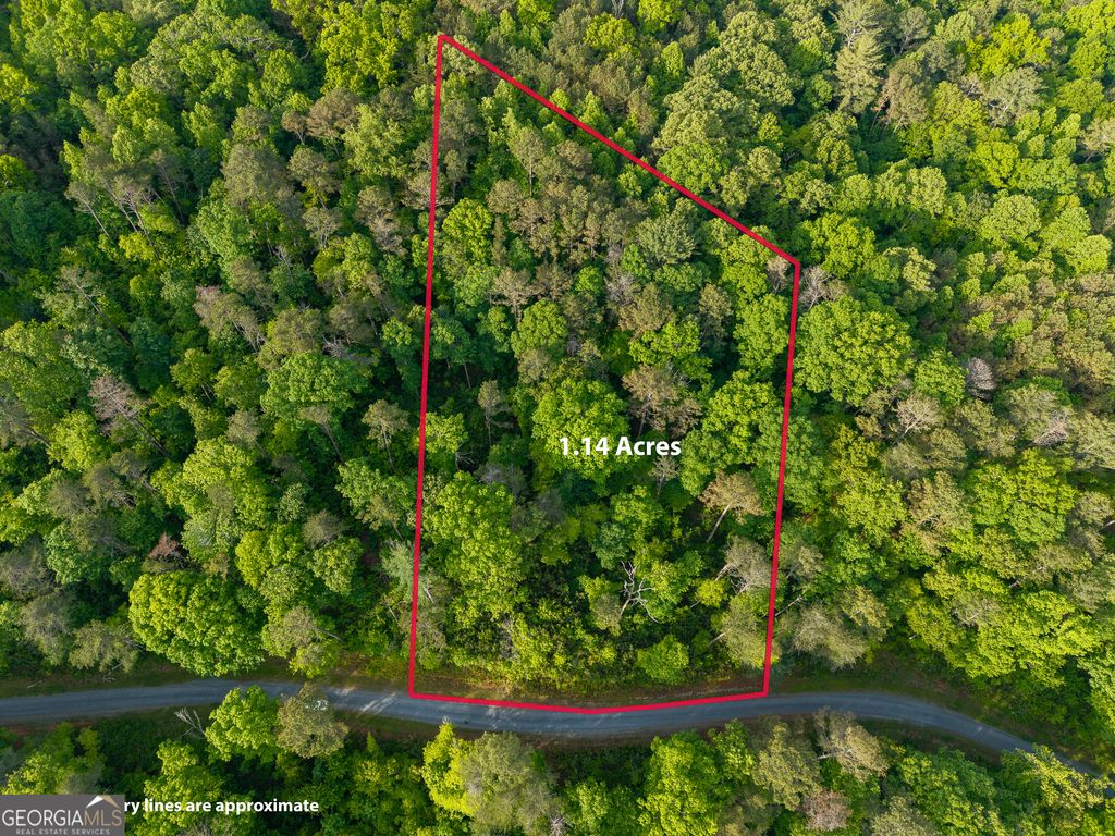 LOT 45 Hilton Drive, Ellijay, GA 30540
