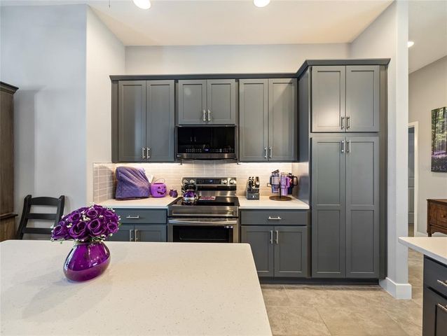 1125 MAYNARD PATH, The Villages, FL 32163