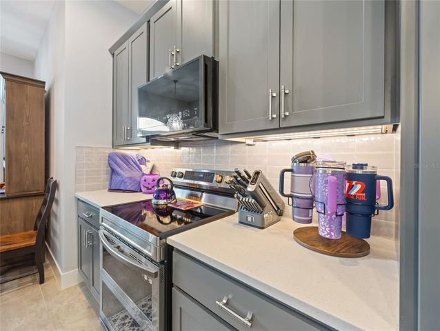 1125 MAYNARD PATH, The Villages, FL 32163