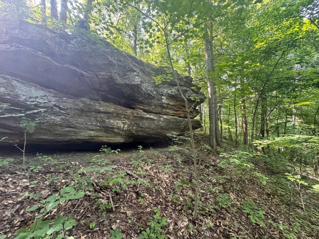 0 State Hwy 1050, Jeffersonville, KY 40337