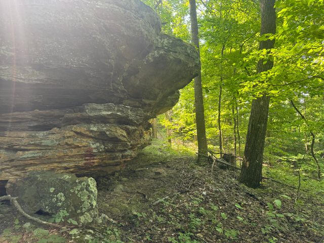 0 State Hwy 1050, Jeffersonville, KY 40337