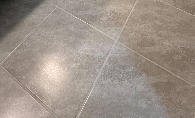 1631 BITTEROOT STREET, Kissimmee, FL 34744