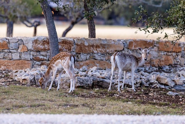 525 Packer LN, Wimberley, TX 78676