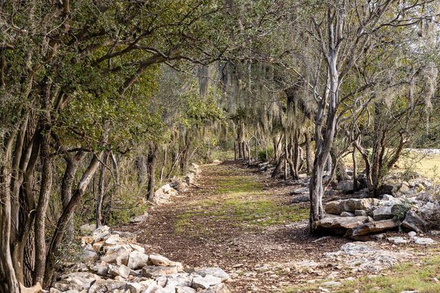 525 Packer LN, Wimberley, TX 78676