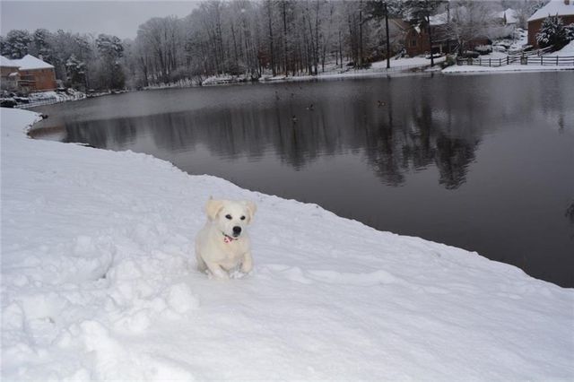 870 Longstone Landing, Alpharetta, GA 30022