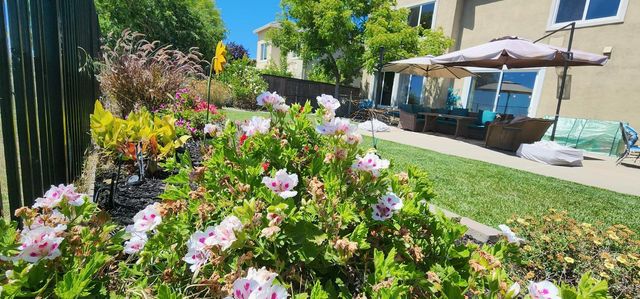 8020 Damico Dr, El Dorado Hills, CA 95762