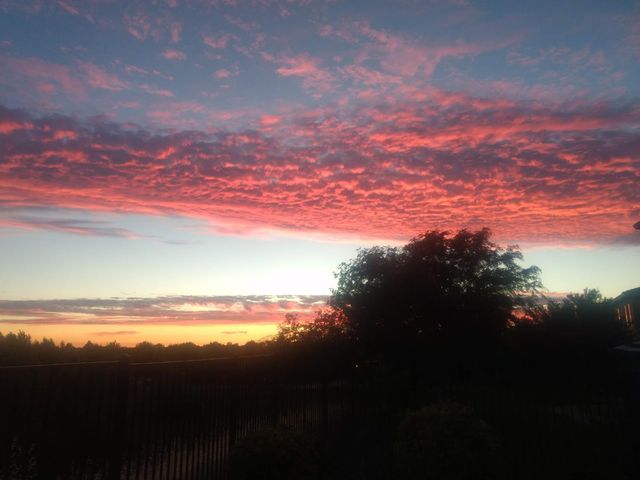 8020 Damico Dr, El Dorado Hills, CA 95762