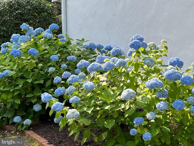 6009 JENNINGS LN, Springfield, VA 22150