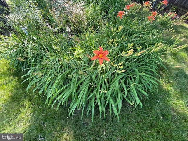 6009 JENNINGS LN, Springfield, VA 22150