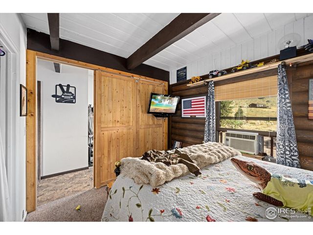 23 E Quandary Ct, Livermore, CO 80536