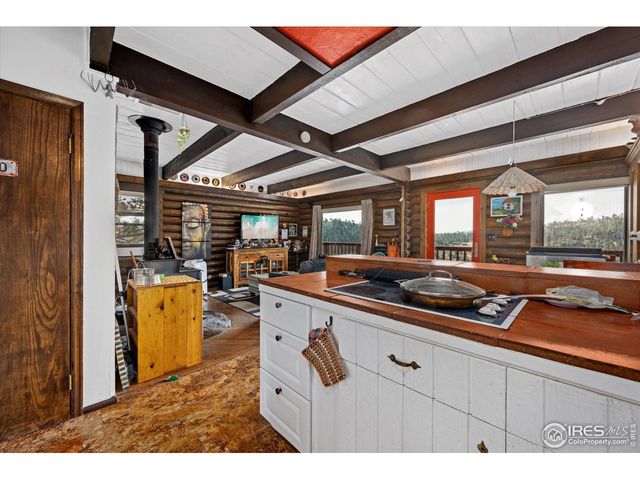 23 E Quandary Ct, Livermore, CO 80536