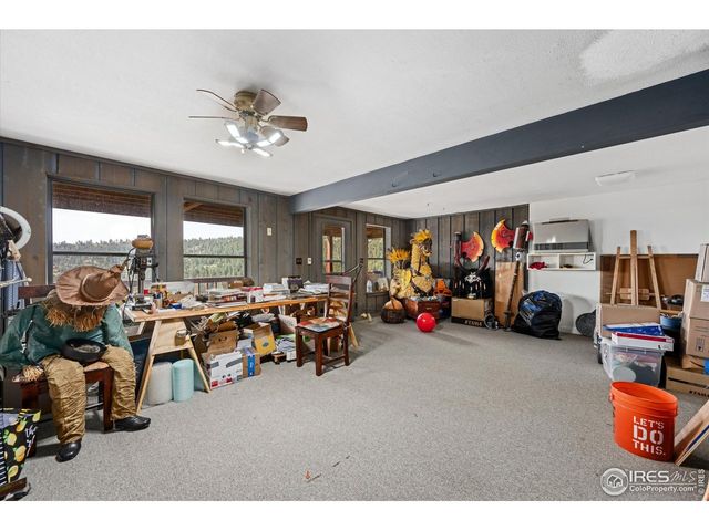 23 E Quandary Ct, Livermore, CO 80536