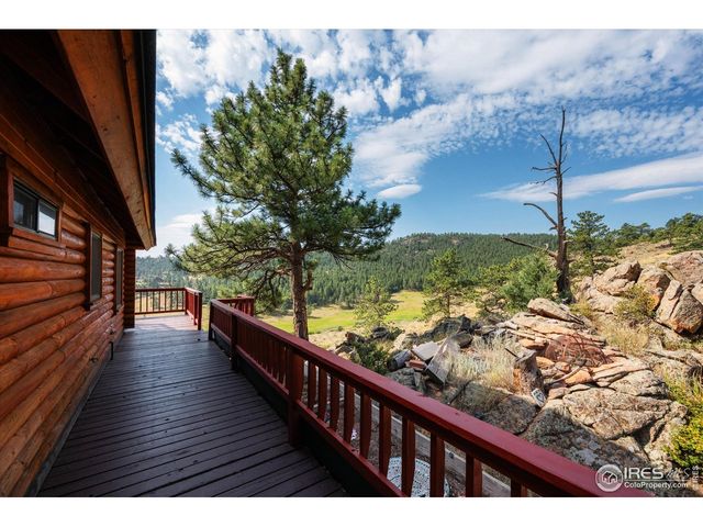 23 E Quandary Ct, Livermore, CO 80536